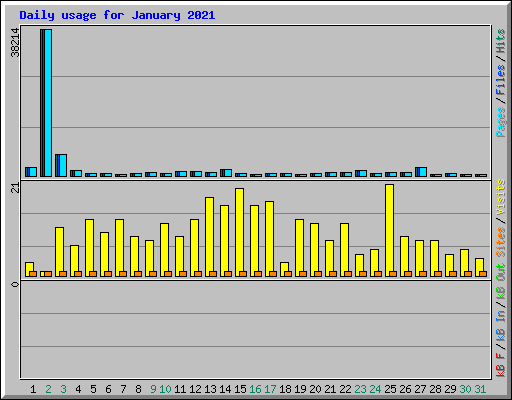 Daily usage for January 2021