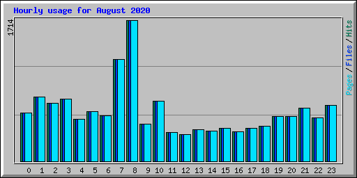 Hourly usage for August 2020