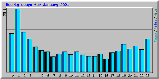 Hourly usage for January 2021