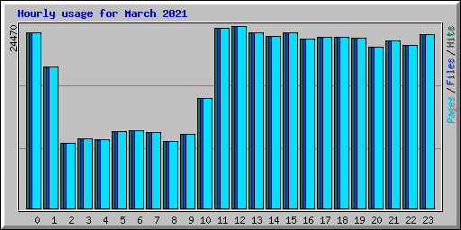 Hourly usage for March 2021