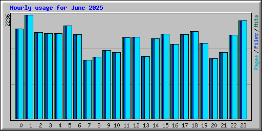 Hourly usage for June 2025