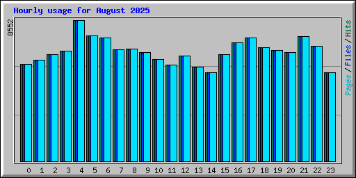 Hourly usage for August 2025
