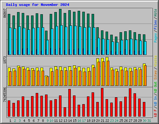 Daily usage for November 2024