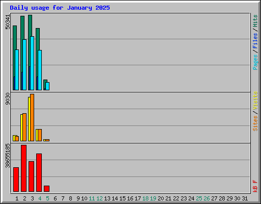 Daily usage for January 2025