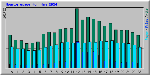 Hourly usage for May 2024