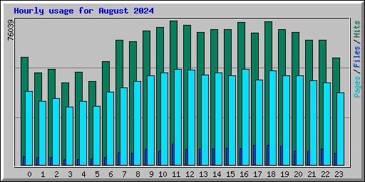 Hourly usage for August 2024