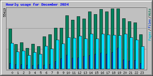 Hourly usage for December 2024