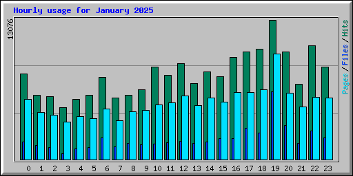 Hourly usage for January 2025