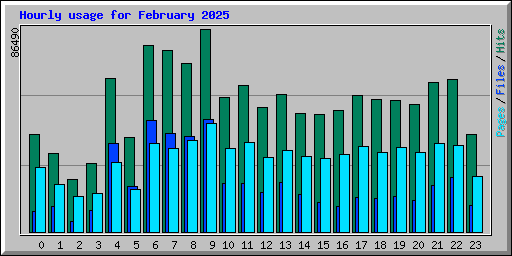 Hourly usage for February 2025