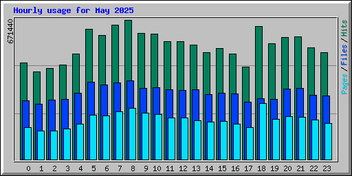 Hourly usage for May 2025