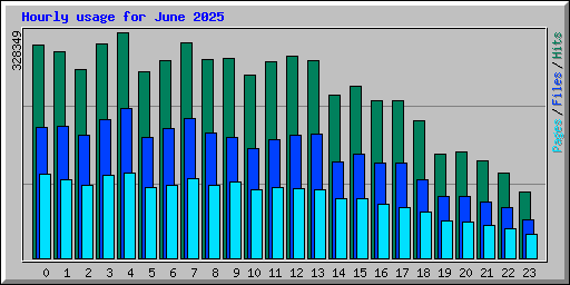 Hourly usage for June 2025