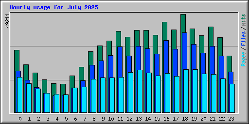 Hourly usage for July 2025