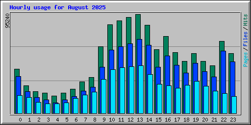 Hourly usage for August 2025